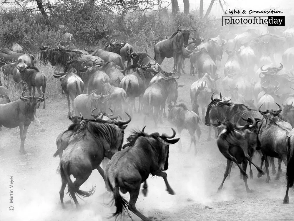 Photo of the Month — March 2017