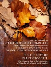 When Texture Tells You the Story - Texture Photography, Photojournalism, Art Photography, Photography Techniques, Photography Education