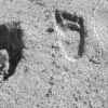 Footprints in the Sand, by Tisha Clinkenbeard - Travel Photography, Award Winning Photography, Photo of the Day, Tisha Clinkenbeard, Photography Awards