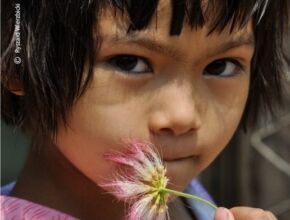 Her Eyes and the Flower by Ryszard Wierzbicki