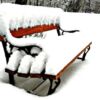 Snowy Seat, by Tisha Clinkenbeard - Nature Photography, Photography Award, Photo of the Day, Award Winning Photography,  Light & Composition University