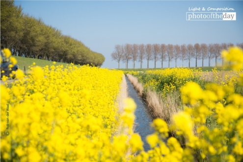 Spring in Goeree by Rob van der Waal