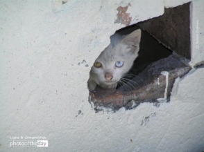 It's a Colorful World by Robert Chalmers