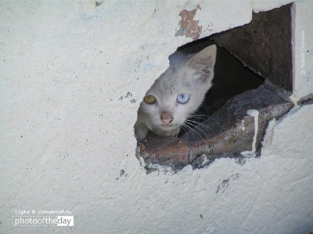 It's a Colorful World, by Robert Chalmers - Photojournalism, Art Photography, Photography Education, Photo of the Day, Online Photography Courses