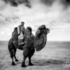 The Camel Polo Player, by Shirren Lim - Portrait Photography, Photojournalism, Photography Awards, Photo of the Day, Online Photography Courses