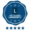 Level 5