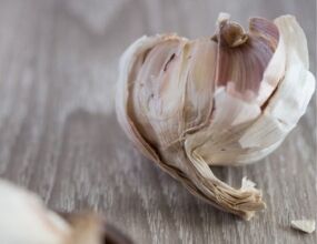Food Photography, Photography Awards, Photo of the Day, Art Photography, Online Photography Courses – Garlic, by Diep Tran Garlic, by Diep Tran - Food Photography, Photography Awards, Photo of the Day, Art Photography, Online Photography Courses