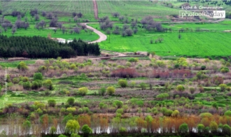 Spring in Hevsel Gardens by Mehmet Masum