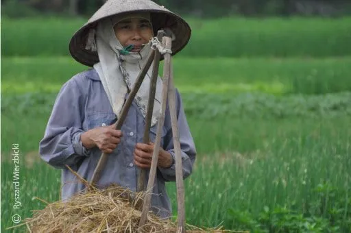 A Vietnamese Farmer by Ryszard Wierzbicki