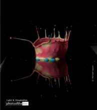 Color Blob by Michael Suppan