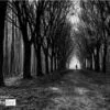 Going Home, by Rob van der Waal - Artistic Photography, Photo of the Day, Black and White Photography, Nature Photography, Photography Awards