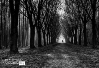 Going Home by Rob van der Waal
