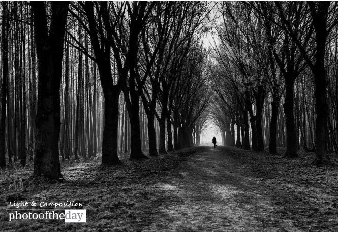 Going Home by Rob van der Waal