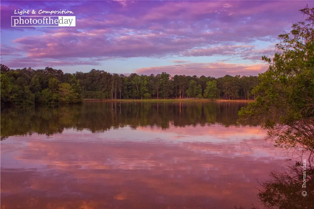 The Pink and Purple Sunrise by Thomas Vasas