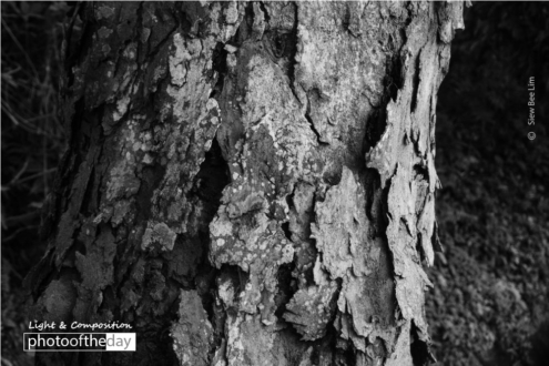 Getting Old by Siew Bee Lim