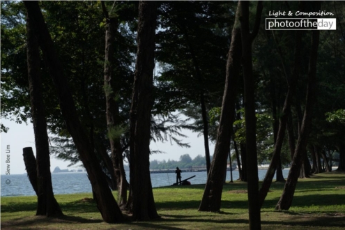 Serene by Siew Bee Lim