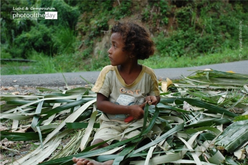 The Basket Weaver Girl, by Ryszard Wierzbicki - Photojournalism, Candid Photography, Documentary Photography, Photography Awards, Flores Island