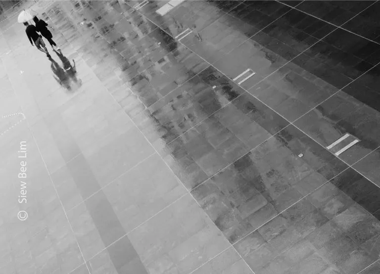 Sharing an Umbrella by Siew Bee Lim