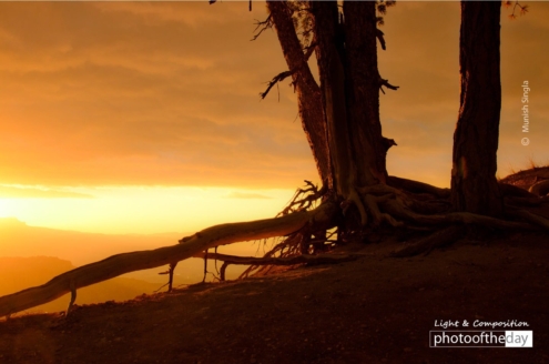 Misty Sunrise, by Munish Singla - Sunrise Photography, Landscape Photography, Award Winning Photography, Photo of the Day, Photography Courses