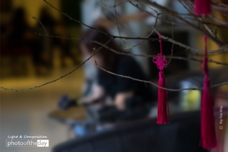 A Friend by Ng You Way