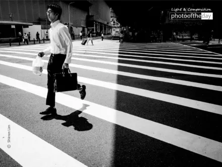 Light and Darkness by Shirren Lim