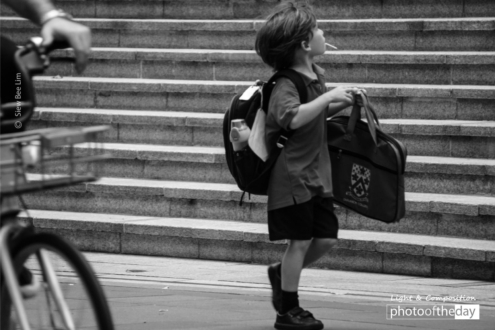 Busy by Siew Bee Lim