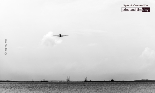 Is That a Bird? by Ng You Way - Black and White Photography, Art Photography, Photo of the Day, Photography Awards, Ng You Way