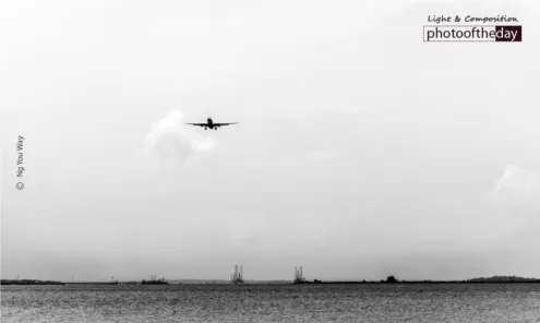 Is That a Bird? by Ng You Way - Black and White Photography, Art Photography, Photo of the Day, Photography Awards, Ng You Way