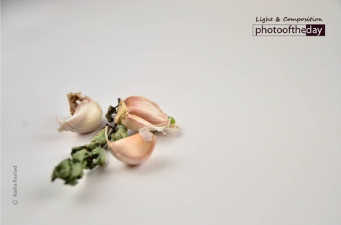 Cloves of Garlic, by Rasha Rashad - Food Photography, Photography Awards, Photo of the Day, Rasha Rashad, Negative Space