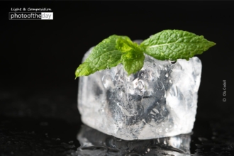 Mint on Ice by Ola Cedell