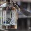 A Lantern from Amphawa, by Ryszard Wierzbicki - Still Life Photography, Photo of the Day, Photography Awards, Art Photography, Online Photography Courses