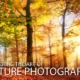 Mastering the Art of Nature Photography