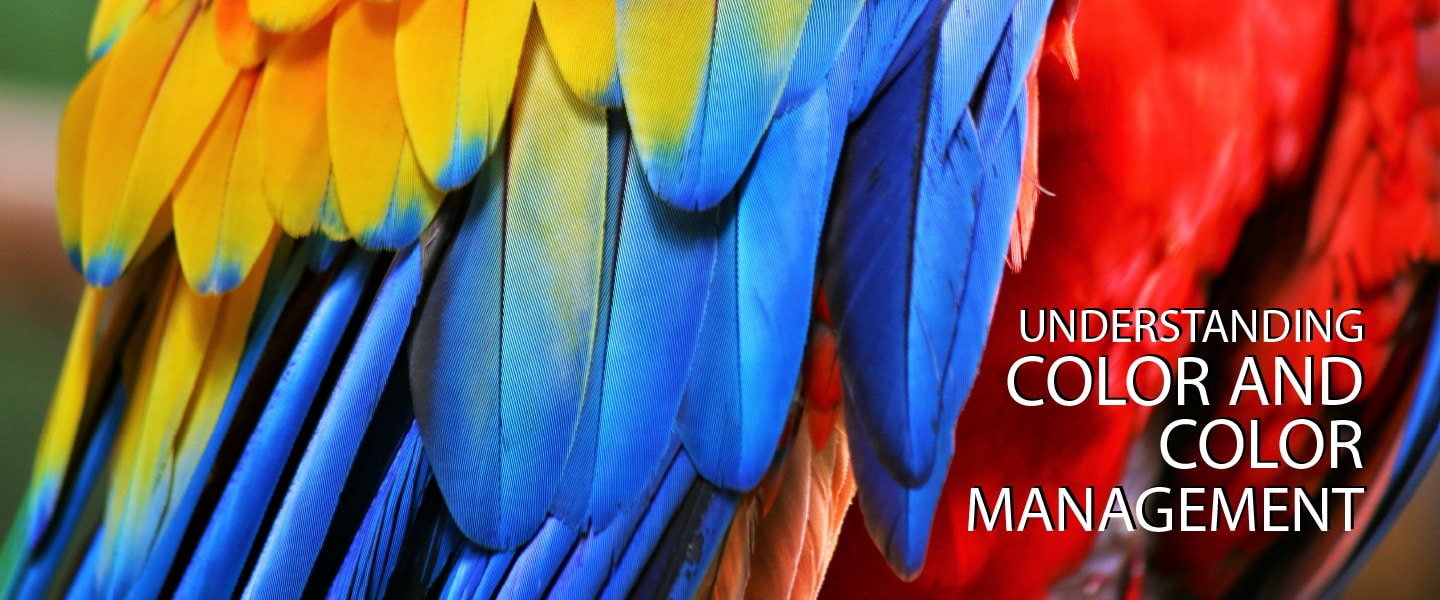 Understanding Color and Color Management