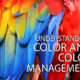 Understanding Color and Color Management
