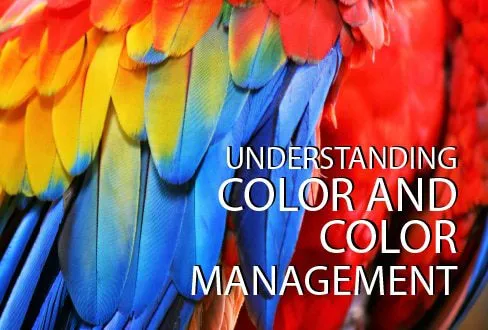 Understanding Color and Color Management - color photography, color management, online photography courses, photography education, color theory