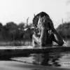 In Summer, by Lavi Dhurve - Black and White Photography, Photo of the Day, Photography Awards, Art Photography, Photojournalism
