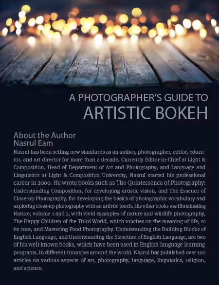 A Photographer’s Guide to Artistic Bokeh - Bokeh, Photography Techniques, Background Blur, Photography Guide, Artistic Photography