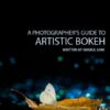 A Photographer’s Guide to Artistic Bokeh - Bokeh, Photography Techniques, Background Blur, Photography Guide, Artistic Photography