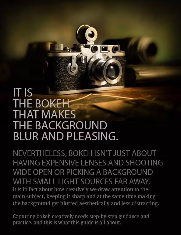 A Photographer’s Guide to Artistic Bokeh - Bokeh, Photography Techniques, Background Blur, Photography Guide, Artistic Photography