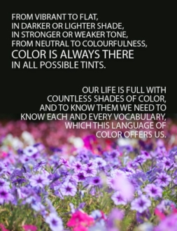 A Photographer’s Guide to Color & Color Management - Color Photography, Color Management, Photography Techniques, Digital Photography, Image Editing