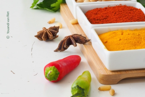 Colourful Spices by Youandi van Riet