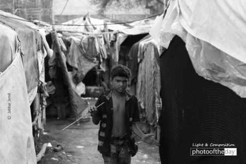 Out of Curiosity by Jabbar Jamil