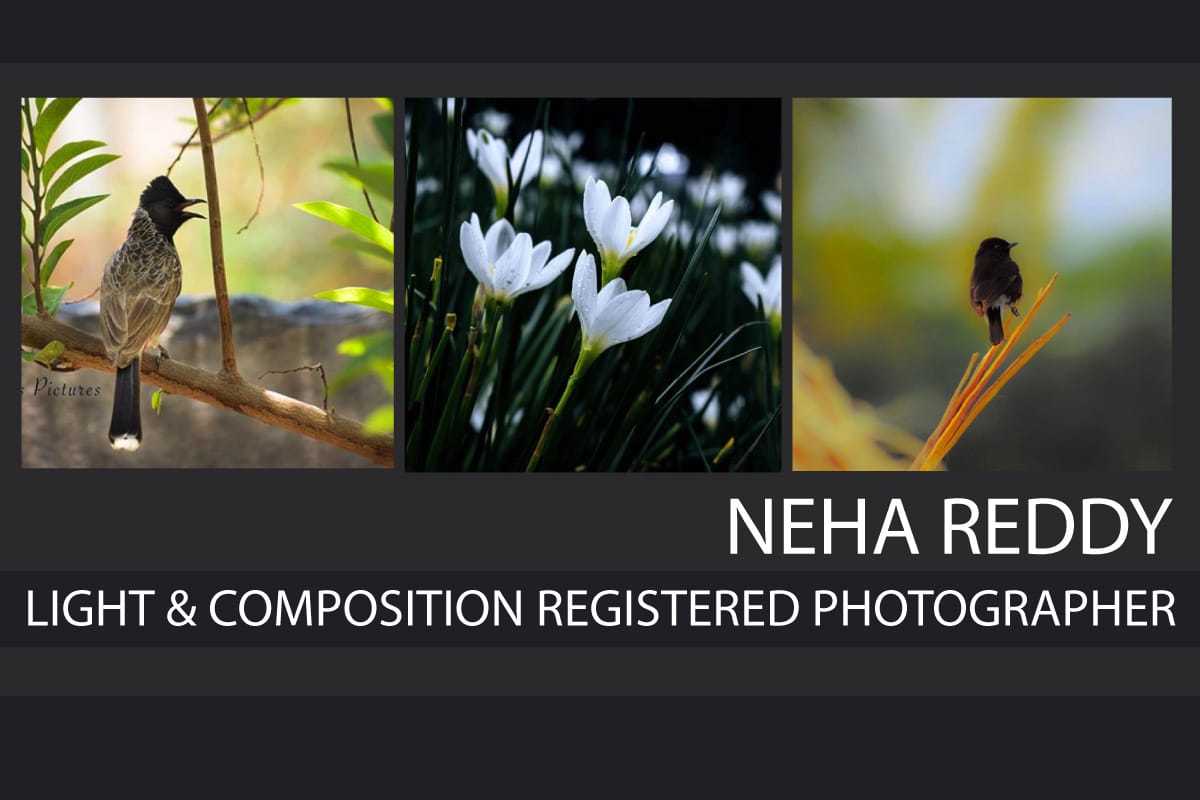 Neha Reddy Neha Reddy - Nature Photography, Landscape Photography, Wildlife Photography, Flora Photography, Neha Reddy
