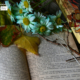 Autumn on the Book by Fidan Nazim Qizi