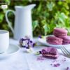 Violet Macarons and a Coffee Cup by Barbara Martello - Food Photography, Photo of the Day, Photography Awards, Art Photography,  Barbara Martello