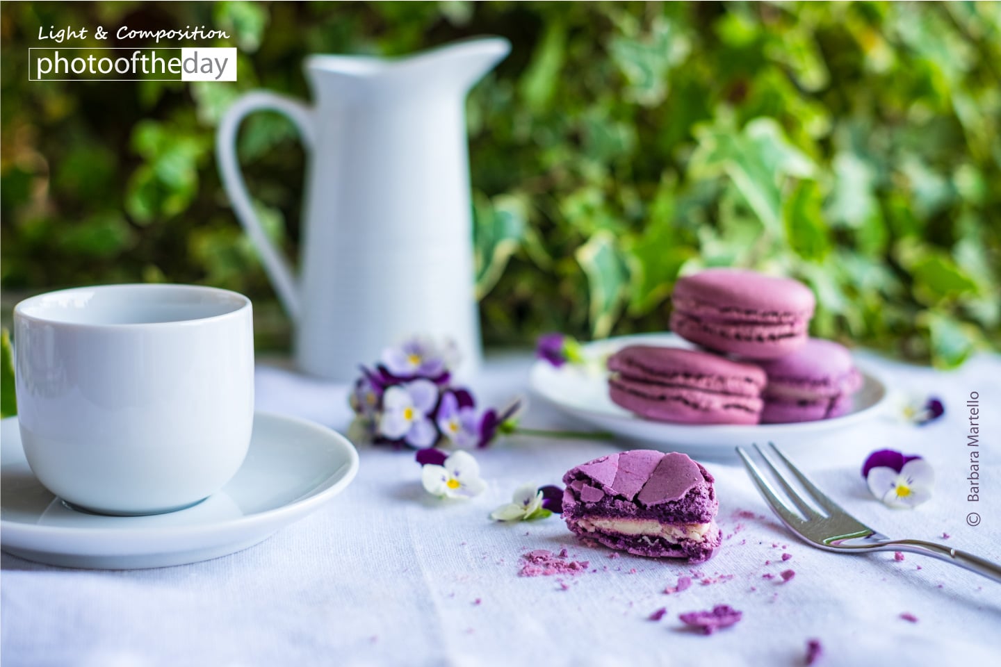 Violet Macarons and a Coffee Cup by Barbara Martello Violet Macarons and a Coffee Cup by Barbara Martello