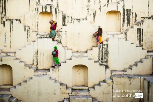 Photo of the Month — July 2019