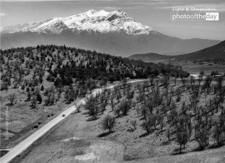 Photo of the Month — August 2019
