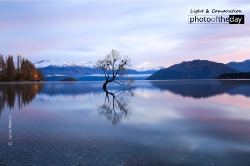 That Wanaka Tree of Autumn by Farhat Memon - Landscape Photography, Award Winning Photography, Photo of the Day, Autumn Photography, Photography Awards