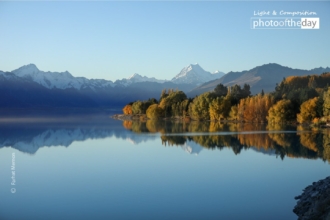 The Golden Magic of Autumn by Farhat Memon